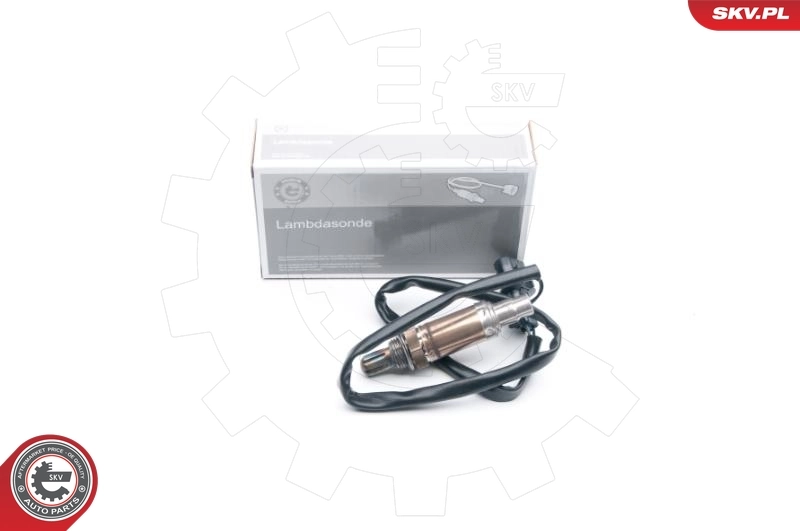 Oxygen Sensor